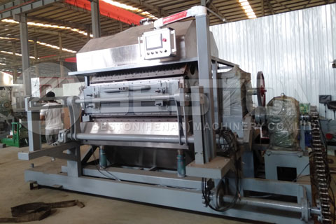 Beston Automatic Egg Tray Making Machine for Sale