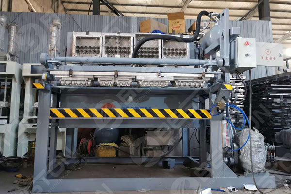 Pulp Molding Machine For Sale