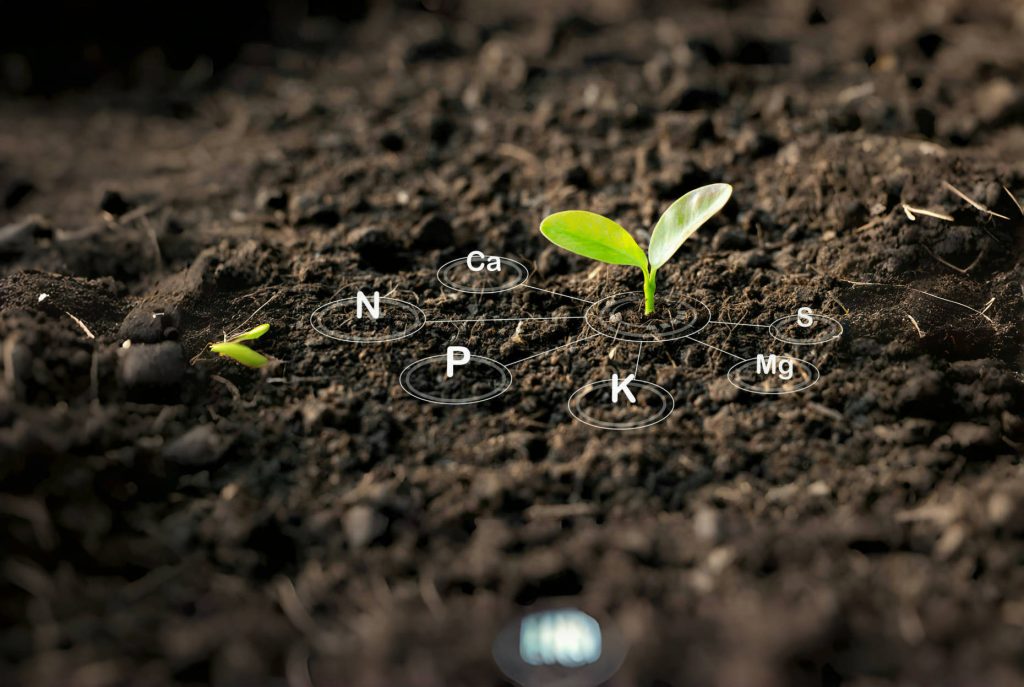 SoilNutrients